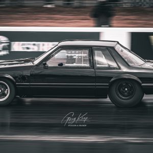 Black Beauty