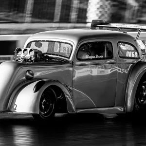 Black & white gold dust