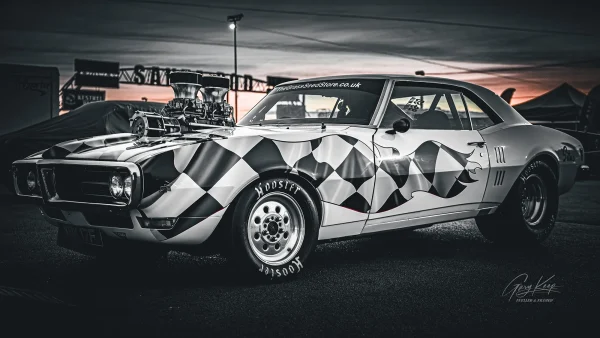 Pete Lane Firebird image 3315LE
